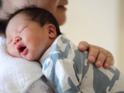 胚胎培养室
